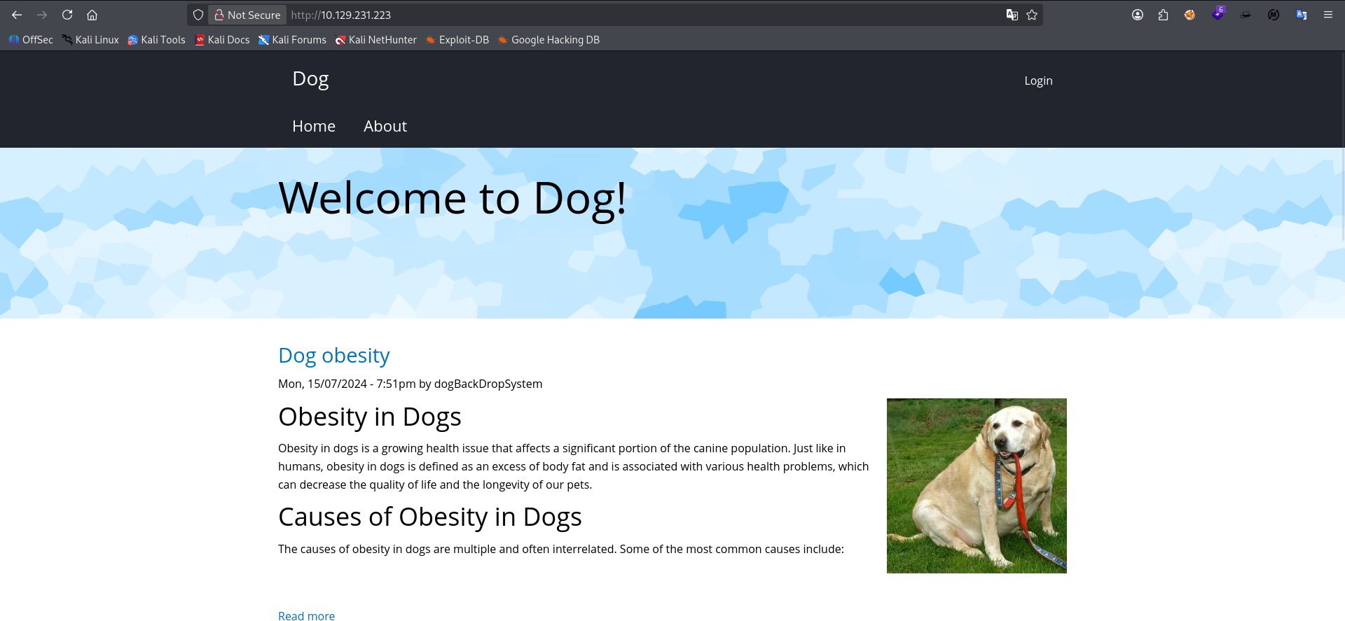 Pasted image 20260807130539.png