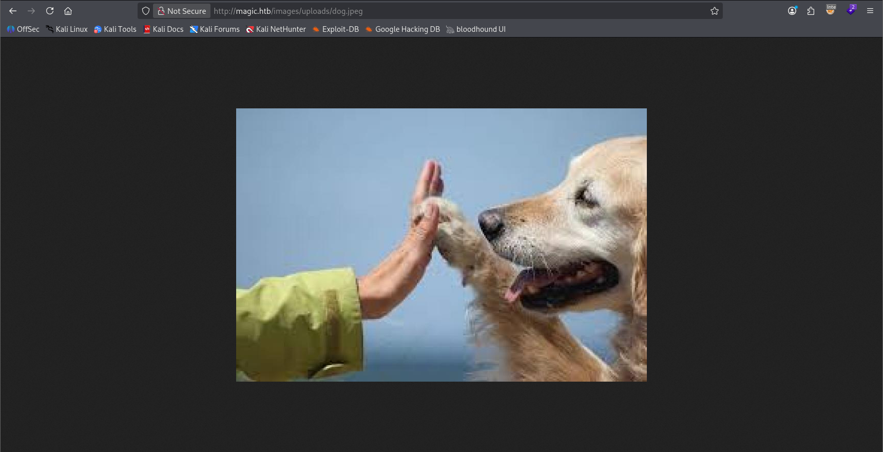 Pasted image 20260815154404.png